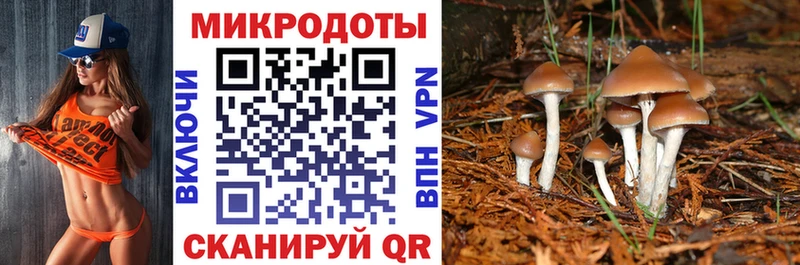 наркотики  Камешково  Псилоцибиновые грибы Magic Shrooms 